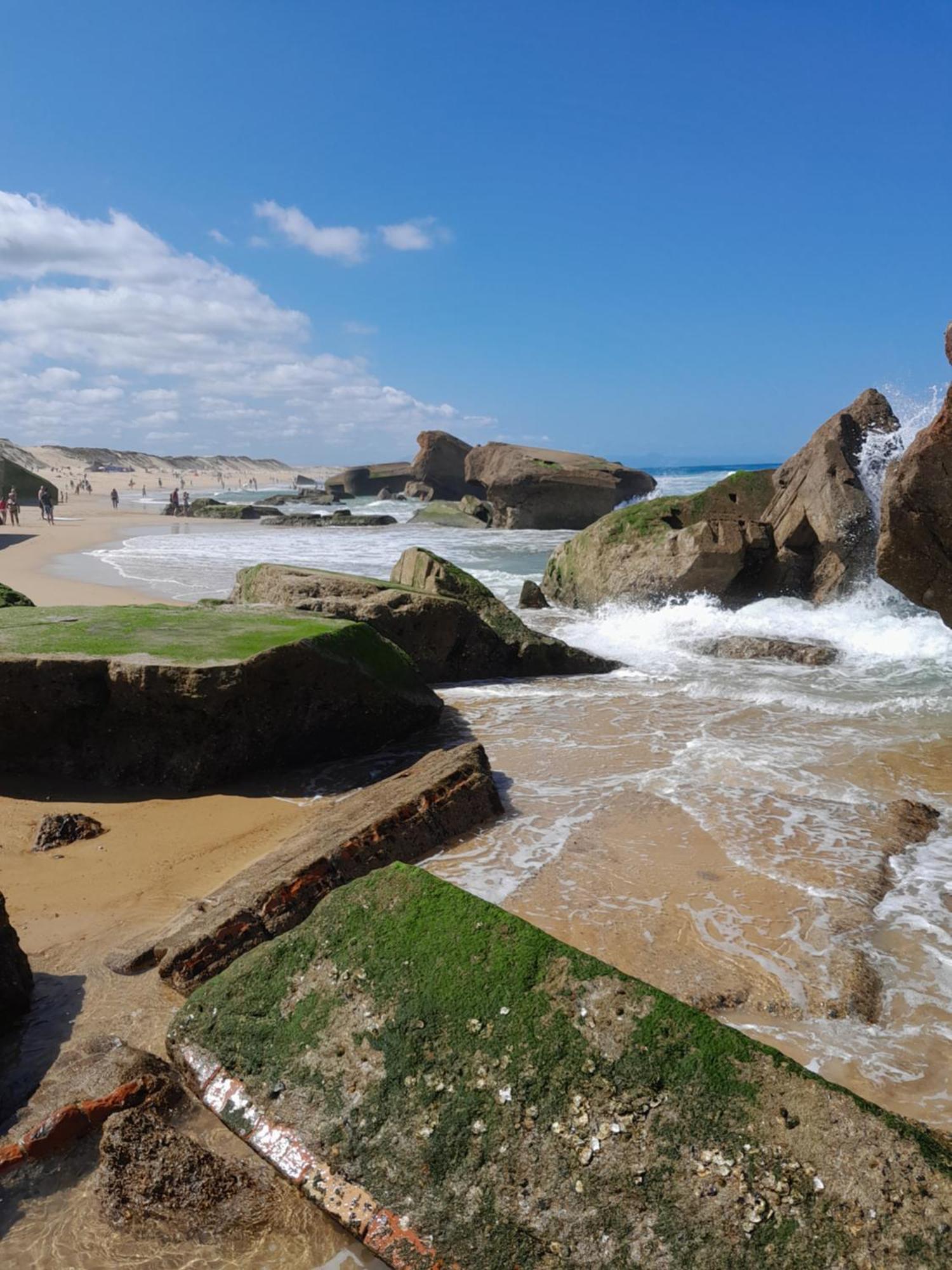 Joli 2 Pieces Sur Le Port Avec Piscine, Terrasse, Parking Apartment Capbreton Ngoại thất bức ảnh