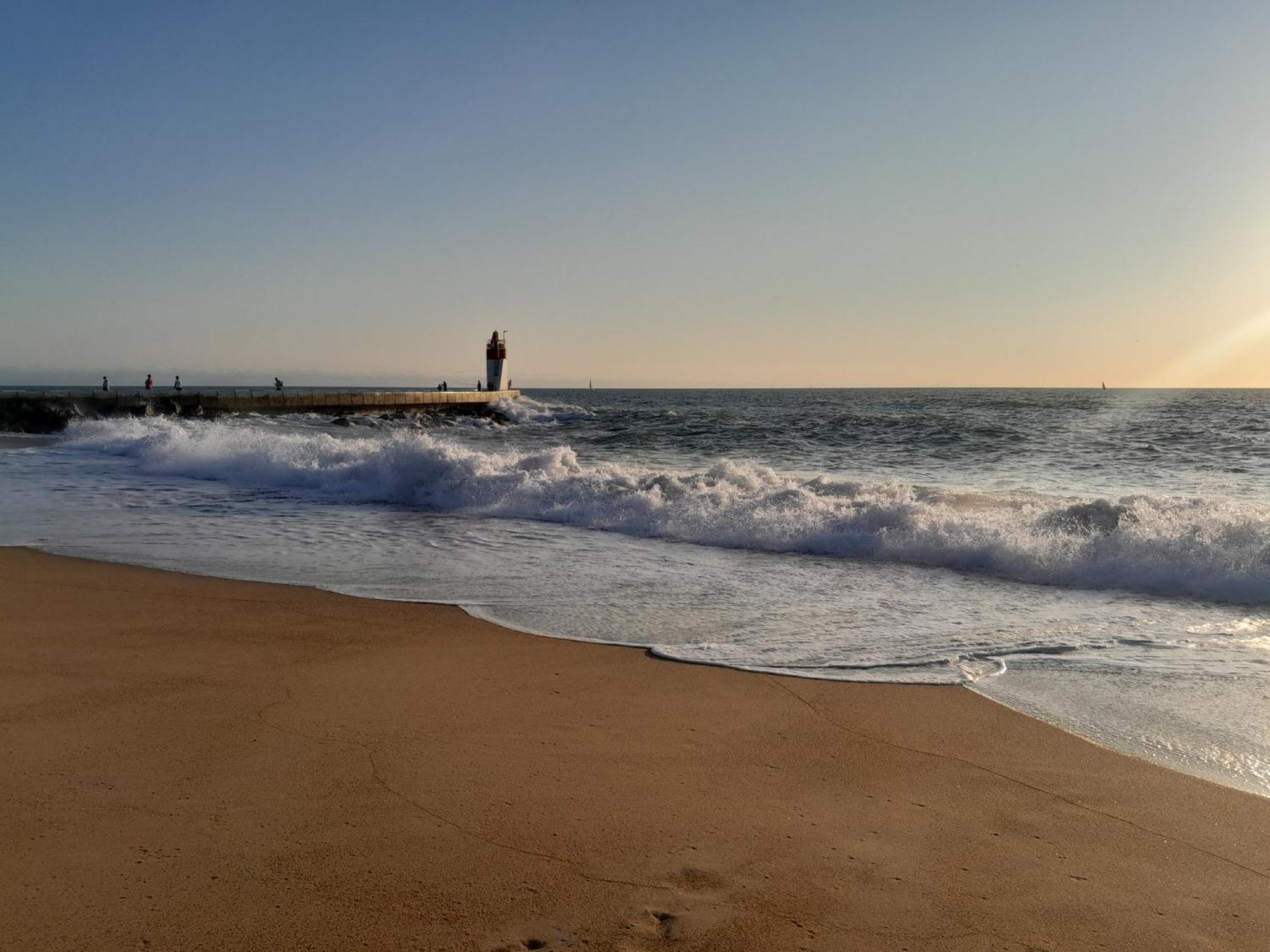 Joli 2 Pieces Sur Le Port Avec Piscine, Terrasse, Parking Apartment Capbreton Ngoại thất bức ảnh